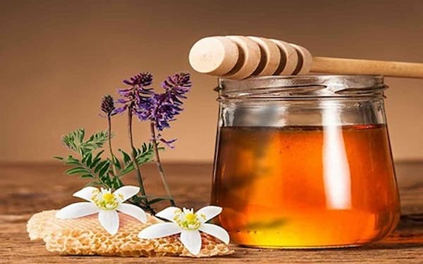 تصویر 4 از فروش عسل زرشک خراسان + قیمت خرید به صرفه